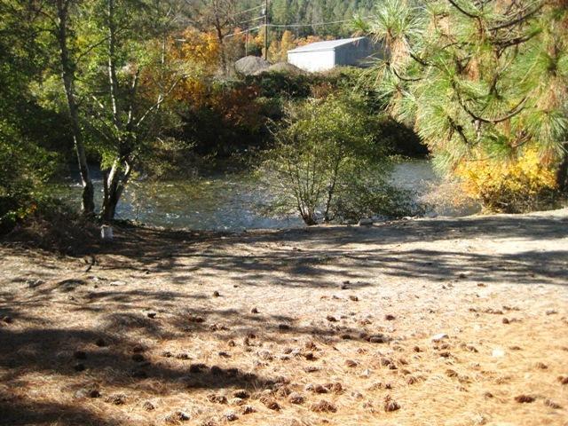 196 Eastside Road Jacksonville, OR 97530 - Photo 16 of 22 a view of a yard with a tree