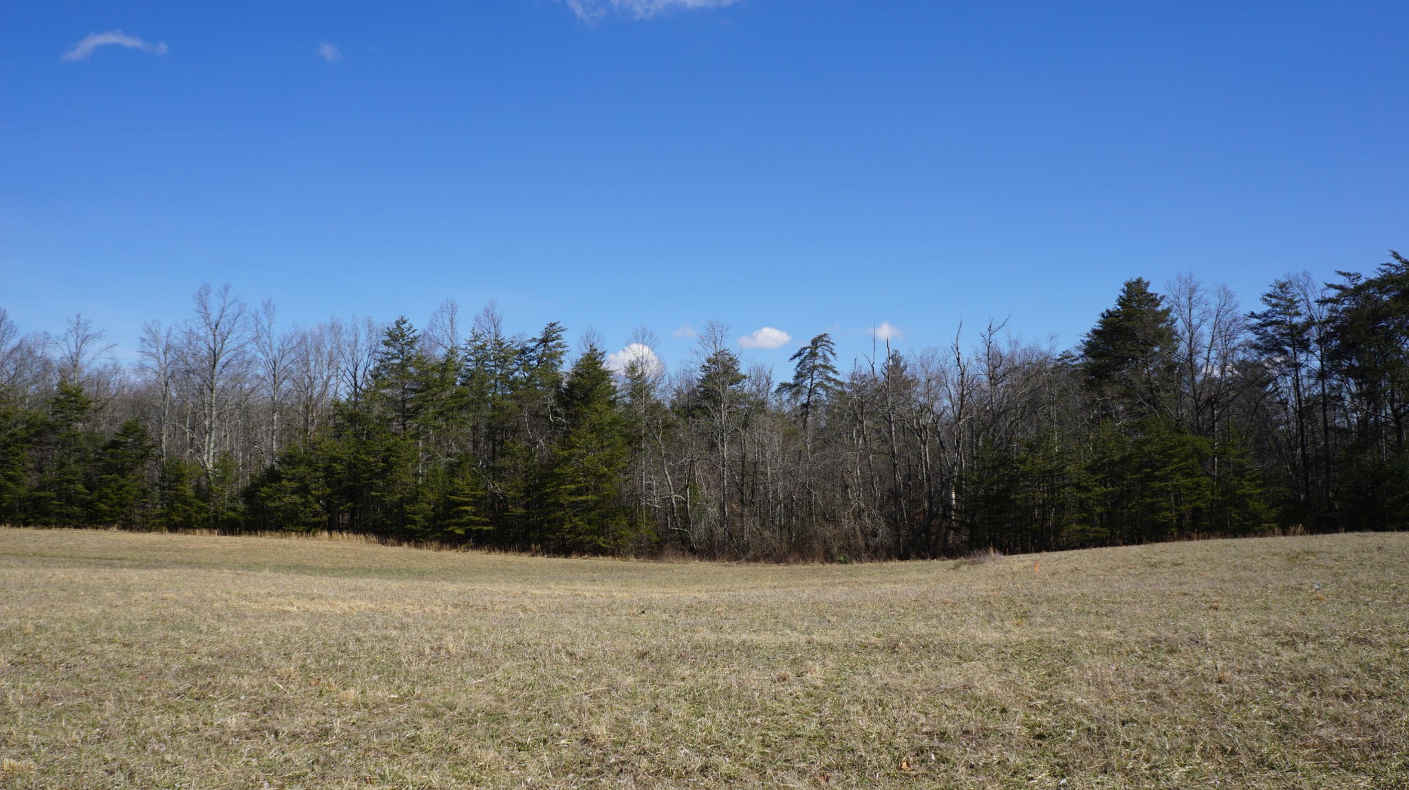 677 Al Goss Road Crossville, TN 38571 - Photo 3 of 18 Gallery Image 3