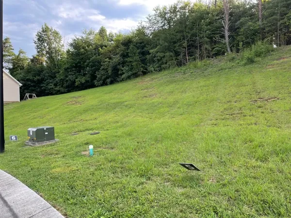 a view of a big yard with large trees