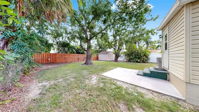 a view of backyard with tree