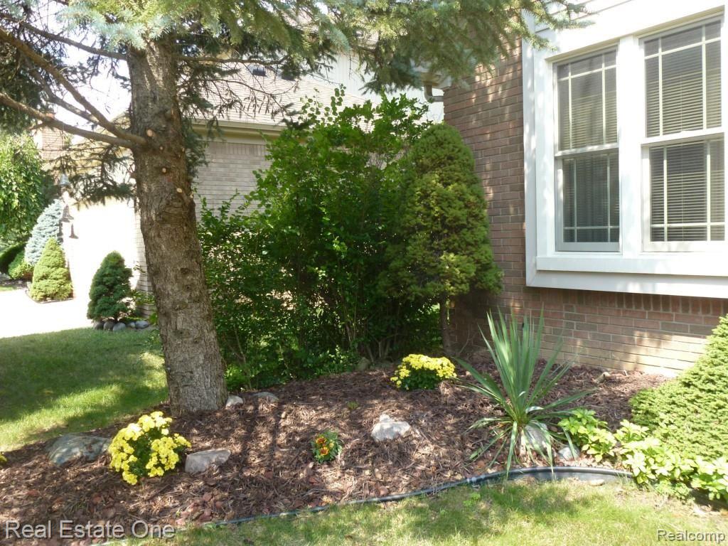 445 Mayapple Court Rochester, MI 48307 - Photo 3 of 46 Newer Landscaping