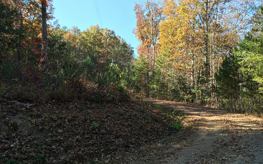 424 Mountain Tops Blue Ridge Blue Ridge, GA 30513 - Photo 1 of 1 Main View