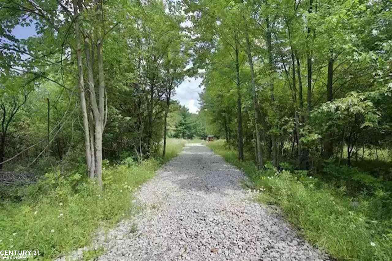0 Meskill Road Richmond, MI 48062 - Photo 2 of 14