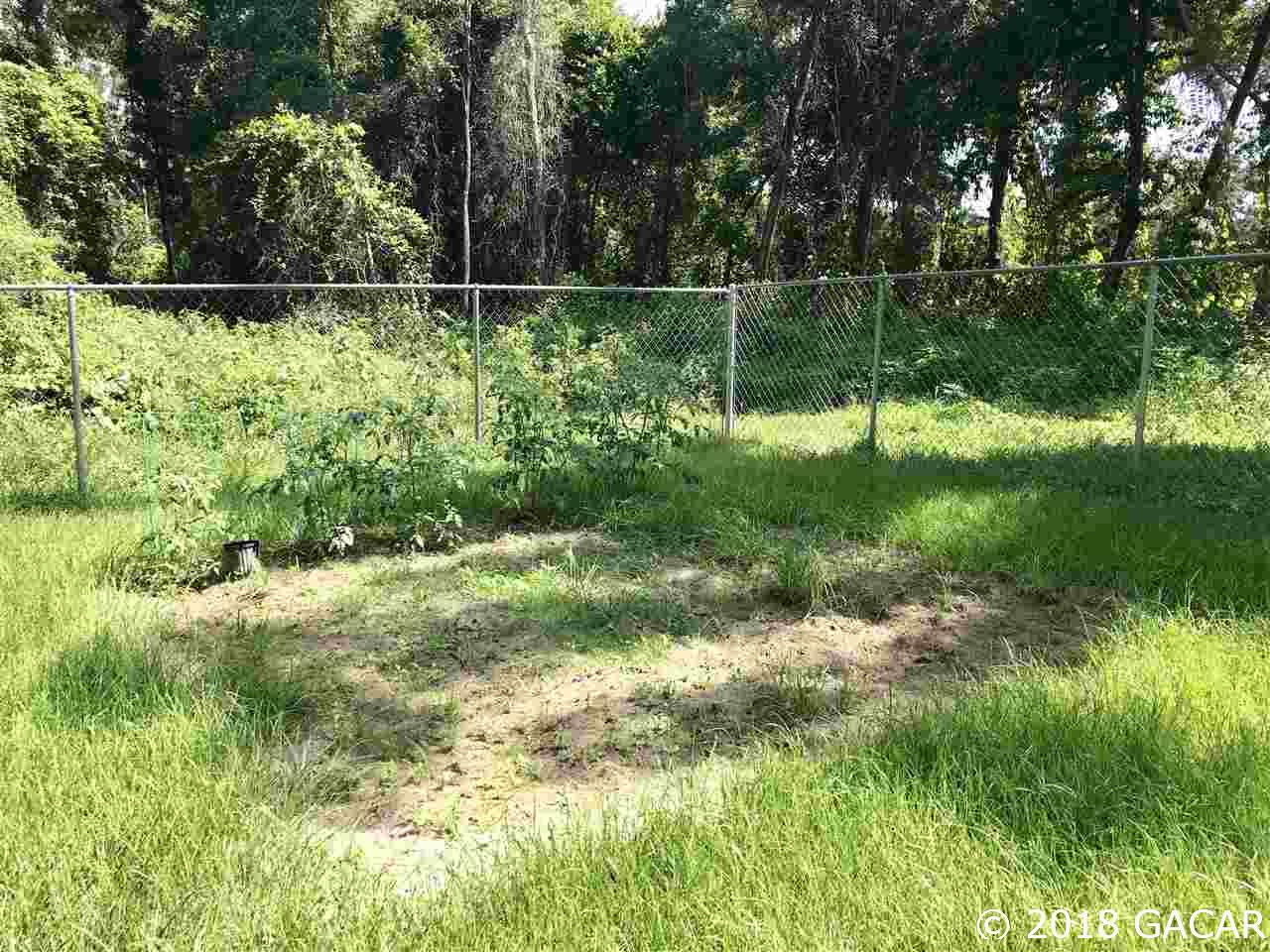 14902 Southwest Archer Road Archer, FL 32618 - Photo 21 of 29 Gallery Image 21