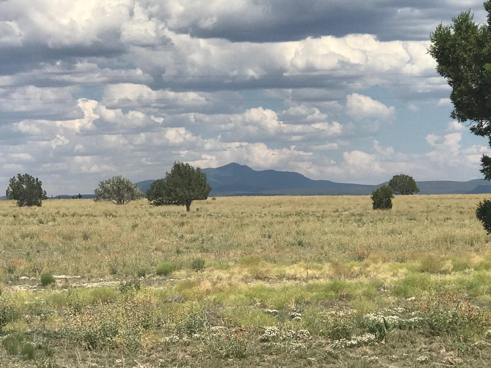 48 Arizona Road Ash Fork, AZ 86320 - Photo 1 of 13 IMG_9620