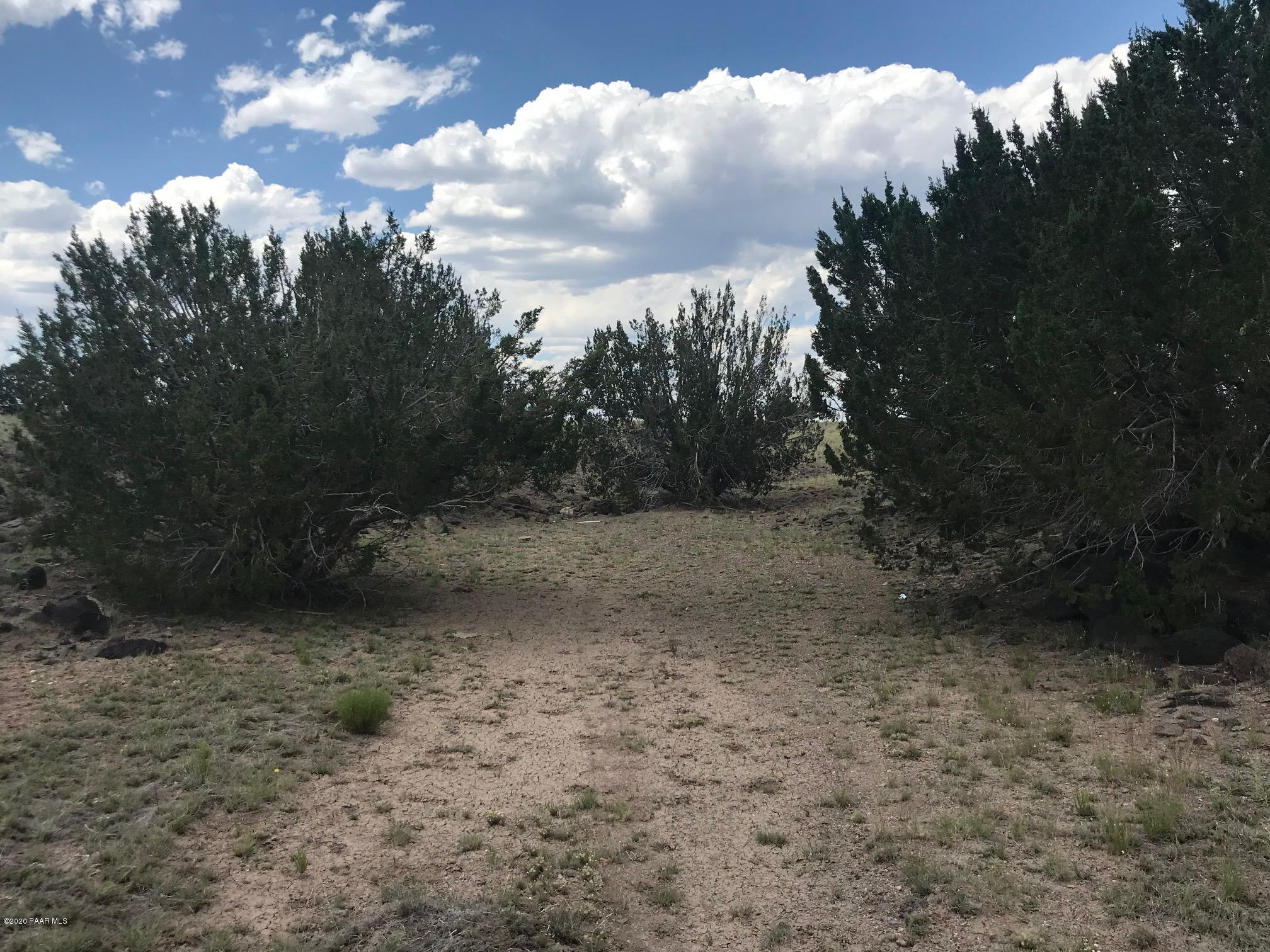 48 Arizona Road Ash Fork, AZ 86320 - Photo 11 of 13 IMG_9618