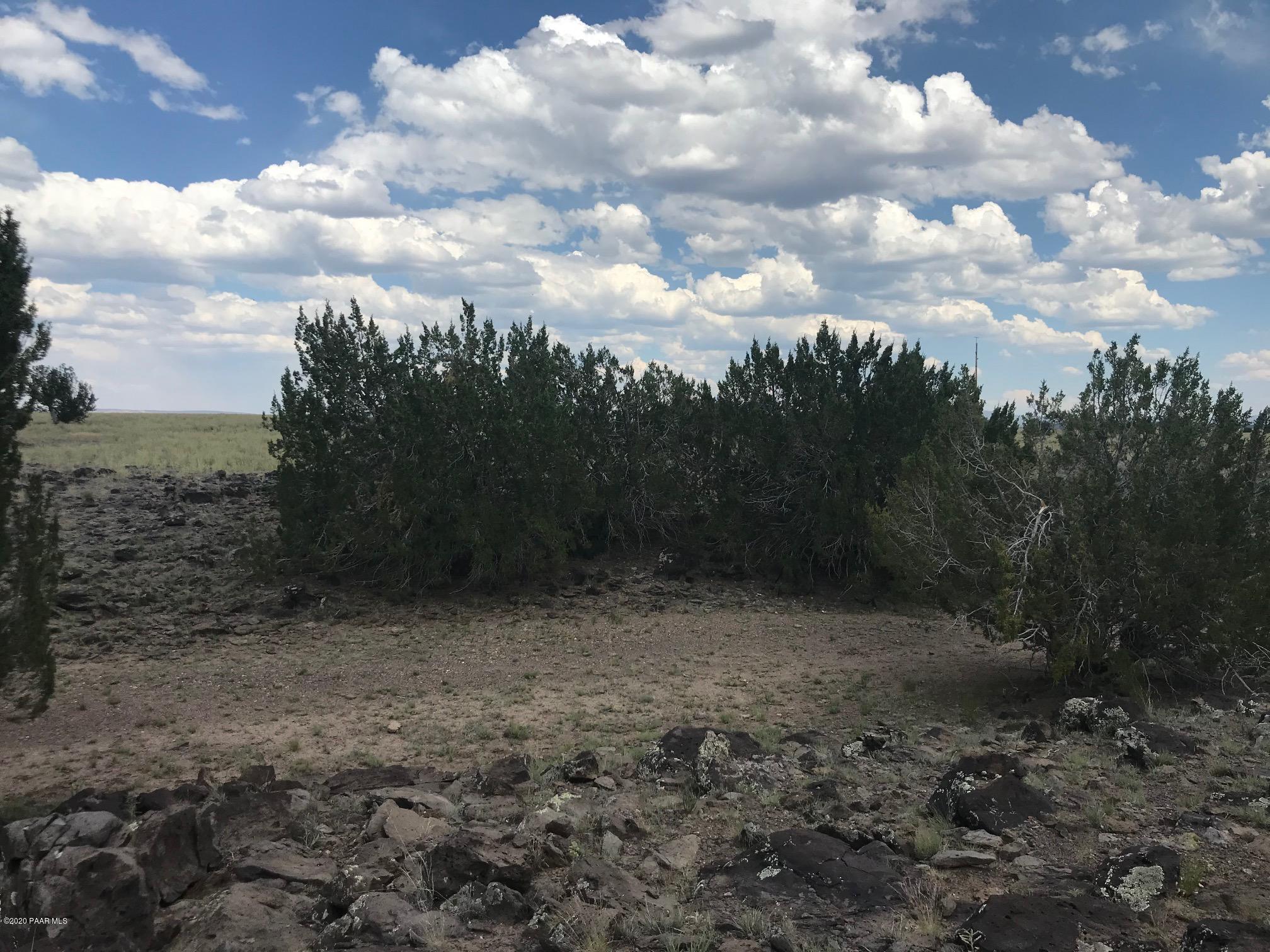 48 Arizona Road Ash Fork, AZ 86320 - Photo 10 of 13 IMG_9616