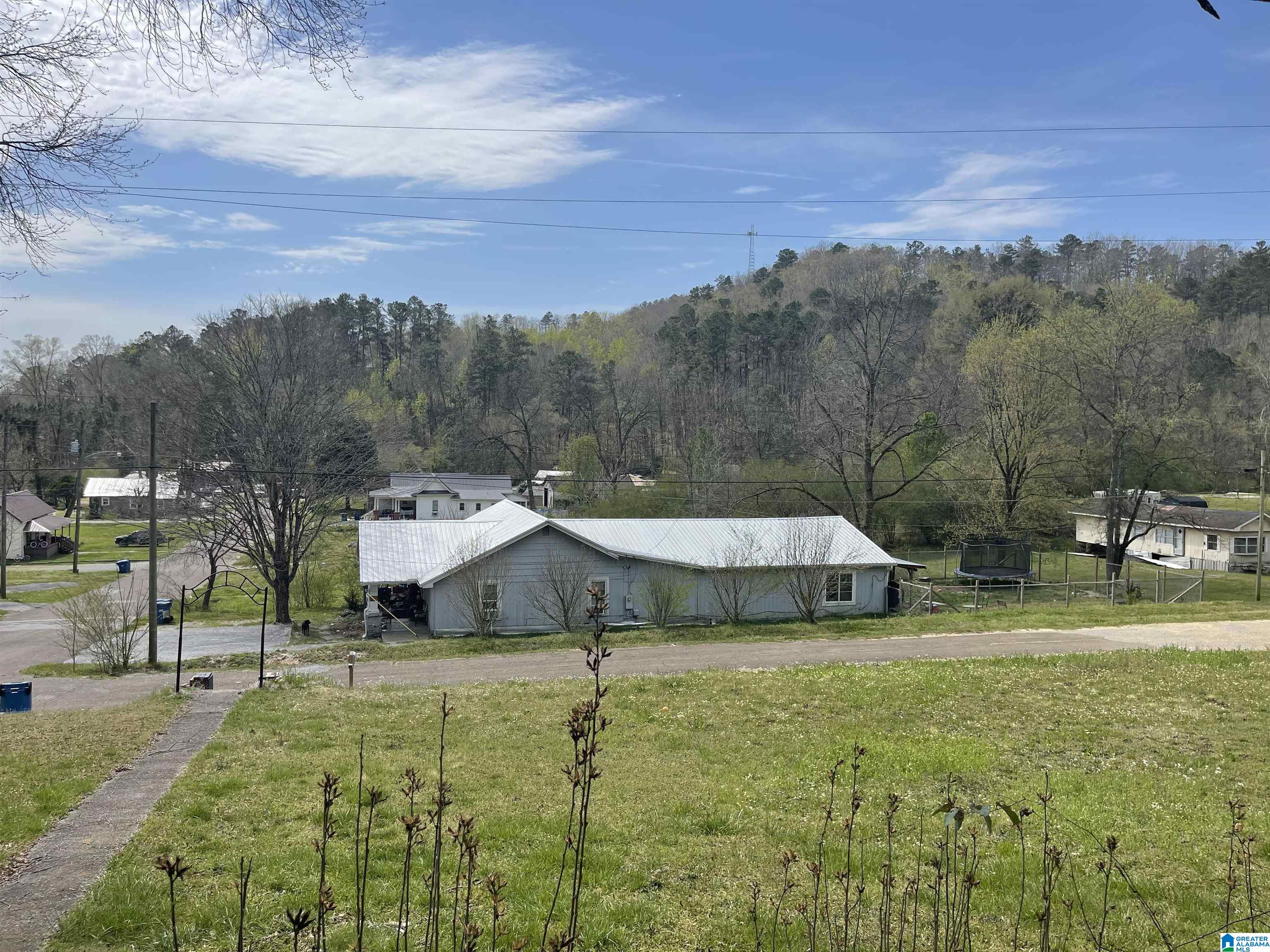 98 Cleburne Street Attalla, AL 35954 - Photo 22 of 22