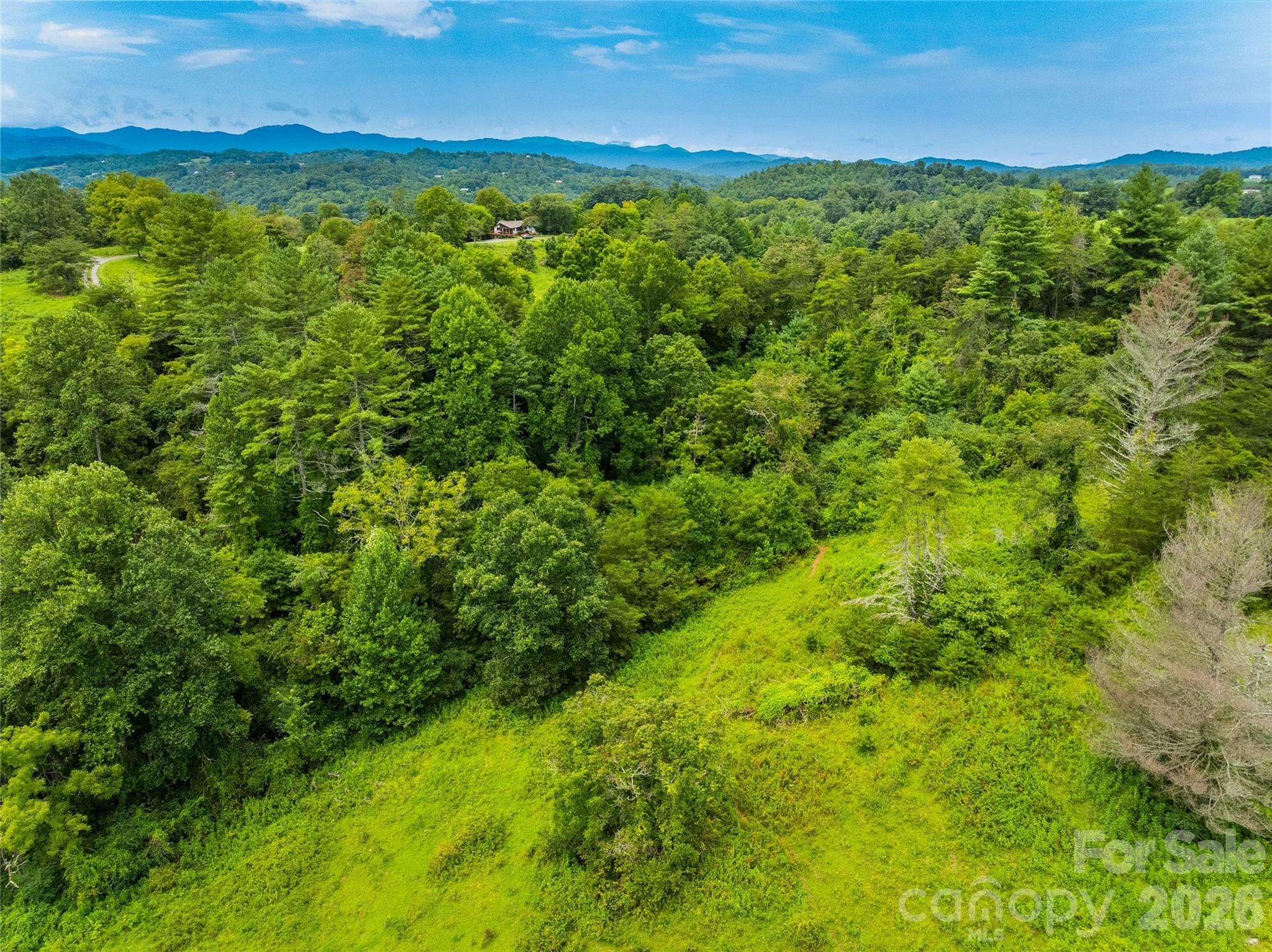 99999 Boulder Road Marshall, NC 28753 - Photo 28 of 37 Gallery Image 28