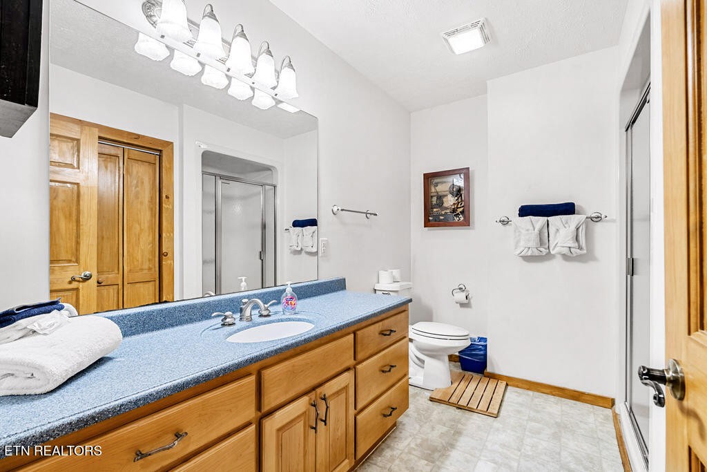 206 Cobblestone Way Townsend, TN 37882 - Photo 30 of 50 a spacious bathroom with a granite countertop sink a toilet and a mirror