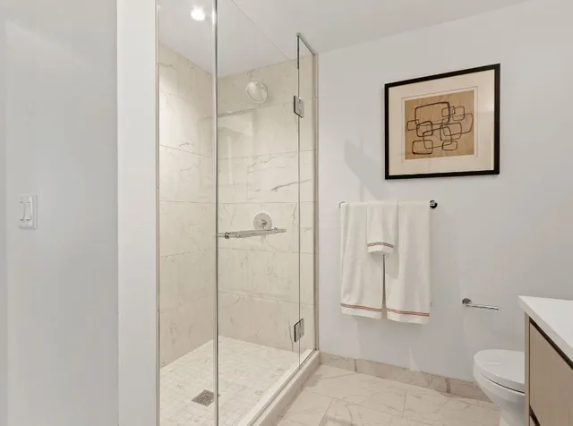 a bathroom with a shower and toilet