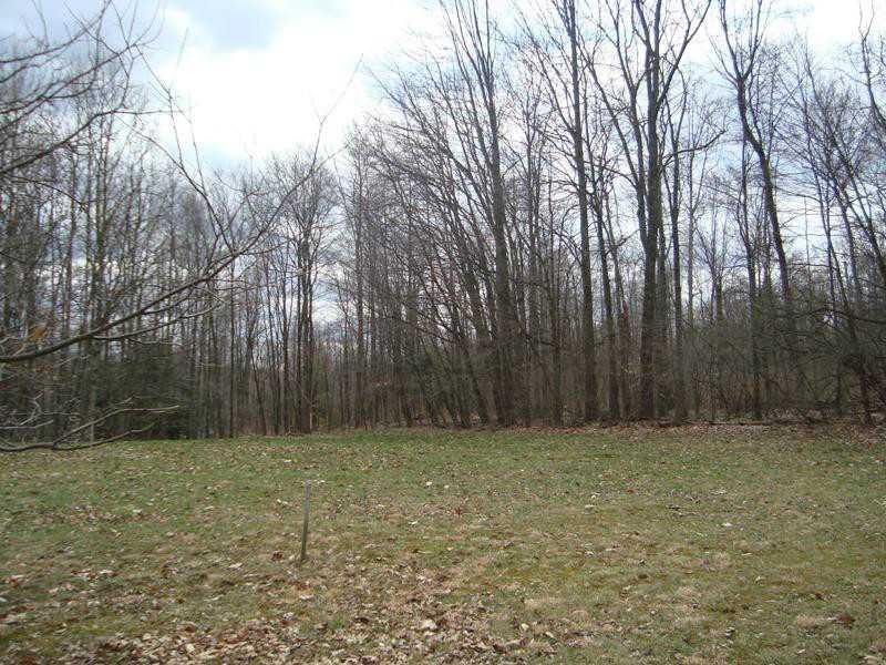 620 Springfield Road Penn Run, PA 15765 - Photo 11 of 11 Land.