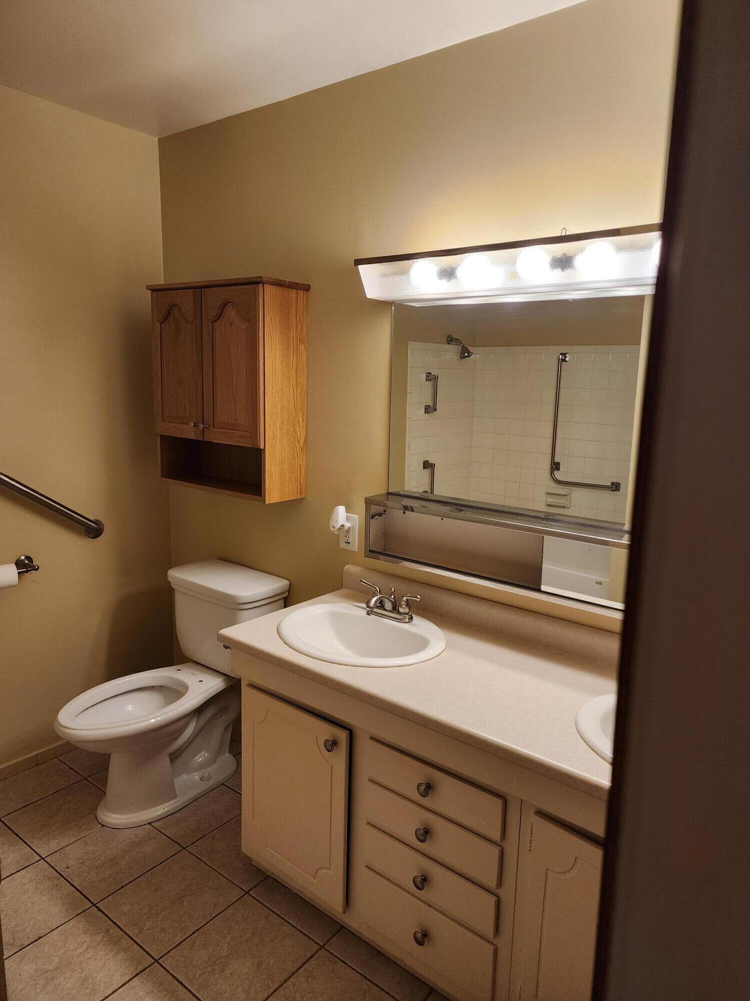 173 East Michigan Avenue, Unit 107A Three Rivers, MI 49093 - Photo 16 of 24 Michigan ave bathroom pic 2