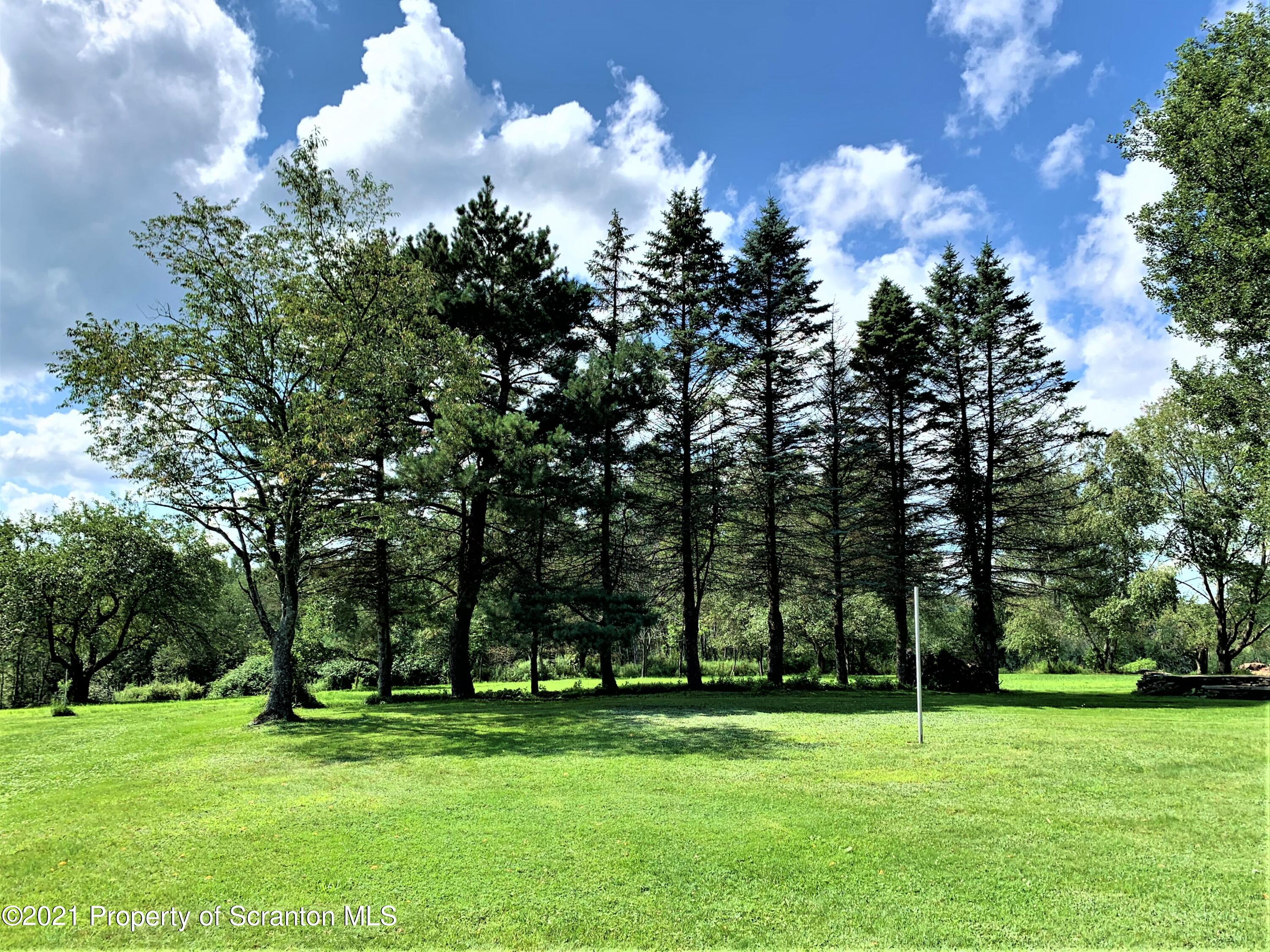 1519 Layton Road Clarks Summit, PA 18411 - Photo 7 of 40 Gallery Image 7