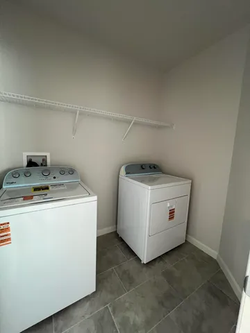 a view of a backyard with plants and large tree