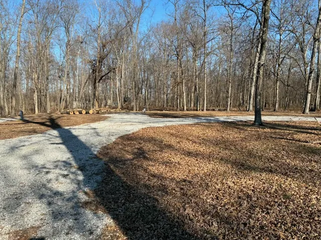 a view of a yard with trees