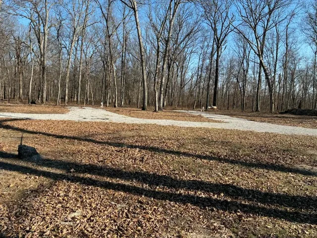 a view of a yard with trees