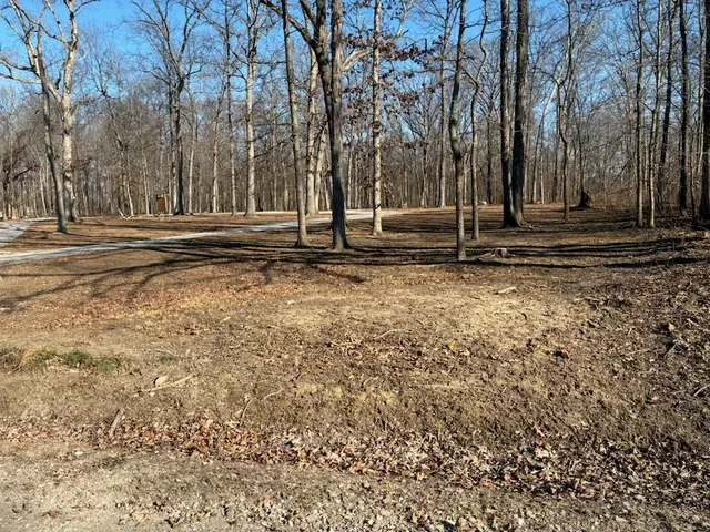 a view of park with tree