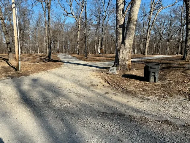 a view of bench sitting in middle of yard