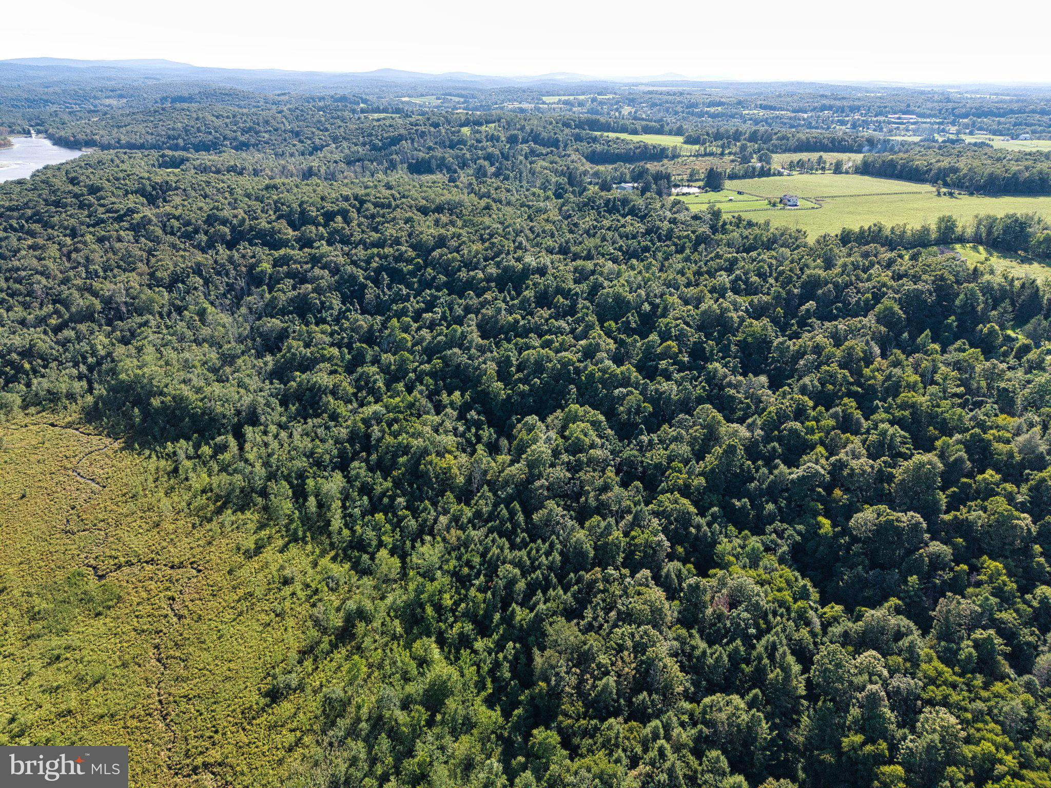 Lush green landscape meets open fields.