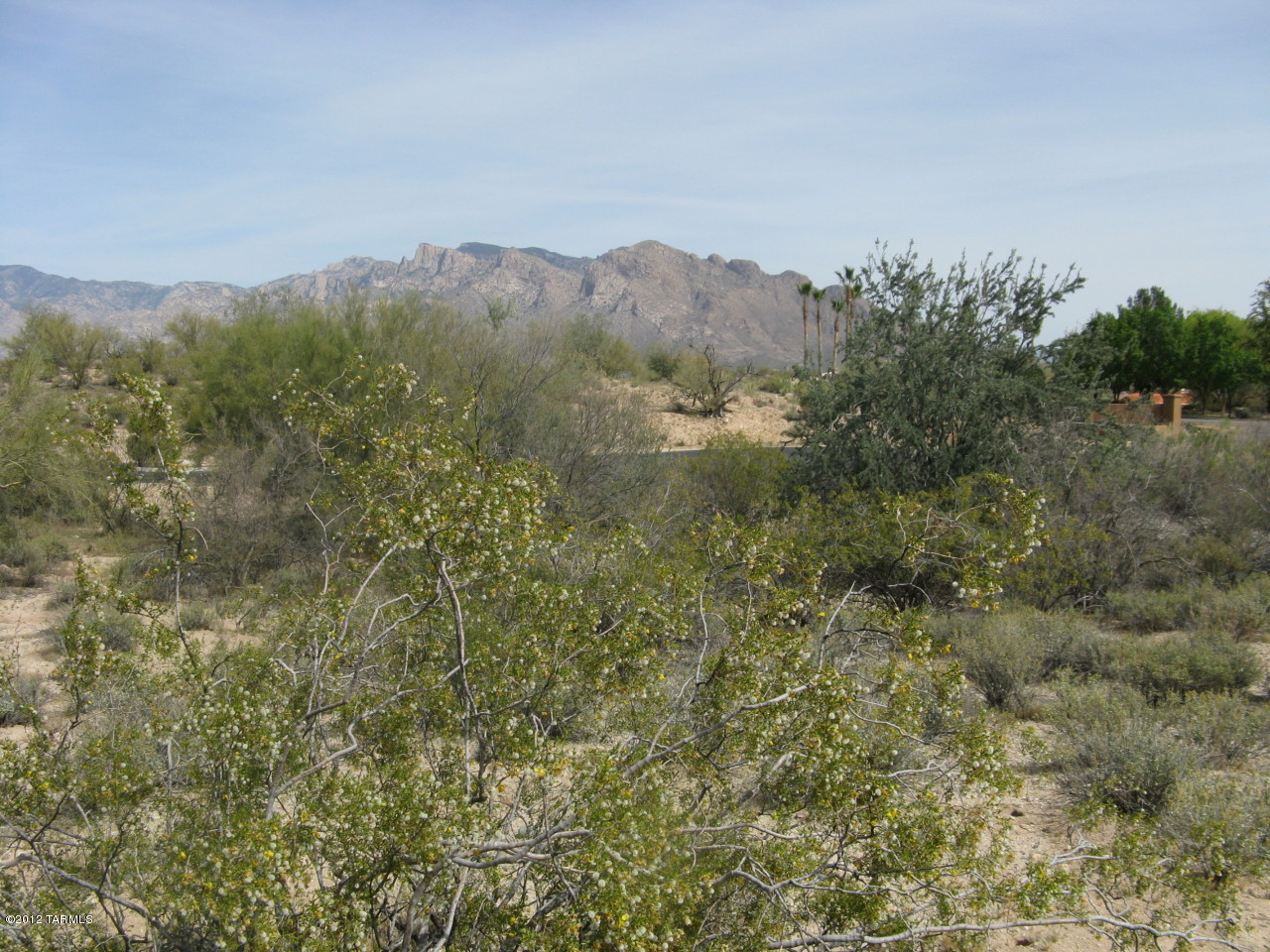 2401 West Oasis Road, Unit 29 Oro Valley, AZ 85742 - Photo 2 of 4