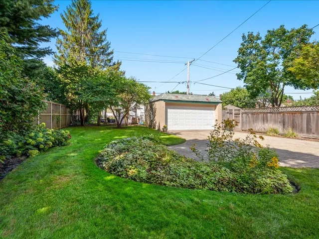 a backyard of a house with plants and large tree