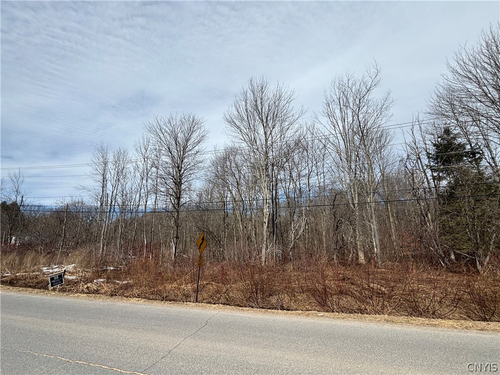 Honey Hill Road Fulton, NY 13069 - Photo 2 of 6