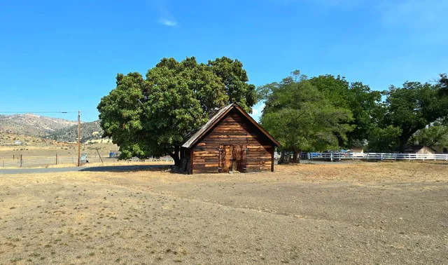 a view of large tree in front of a house with a yard