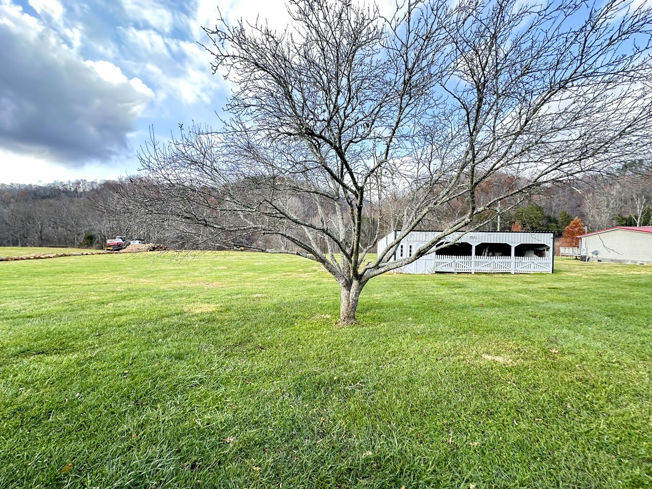 2641 Stanley Valley Road Surgoinsville, TN 37873 - Photo 26 of 26 a view of a garden with large trees