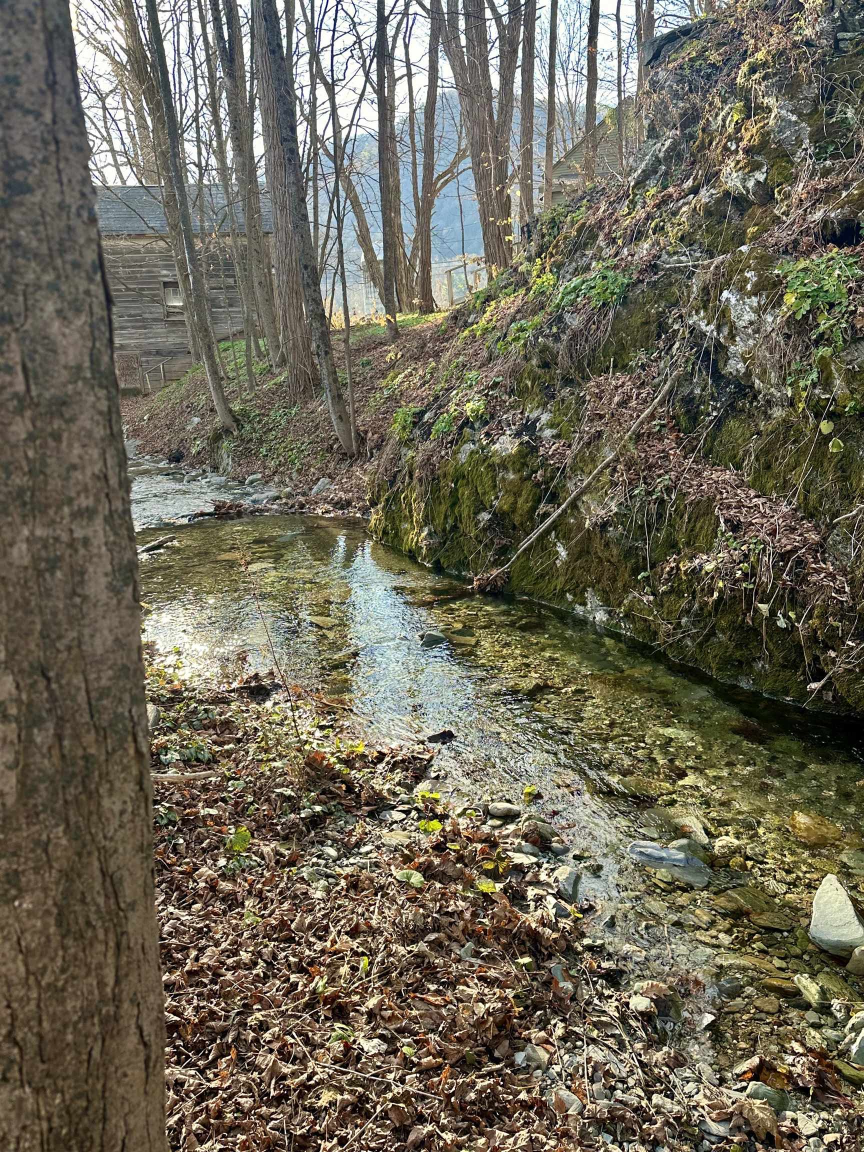 47 Waite Hill Road Pawlet, VT 05761 - Photo 11 of 54