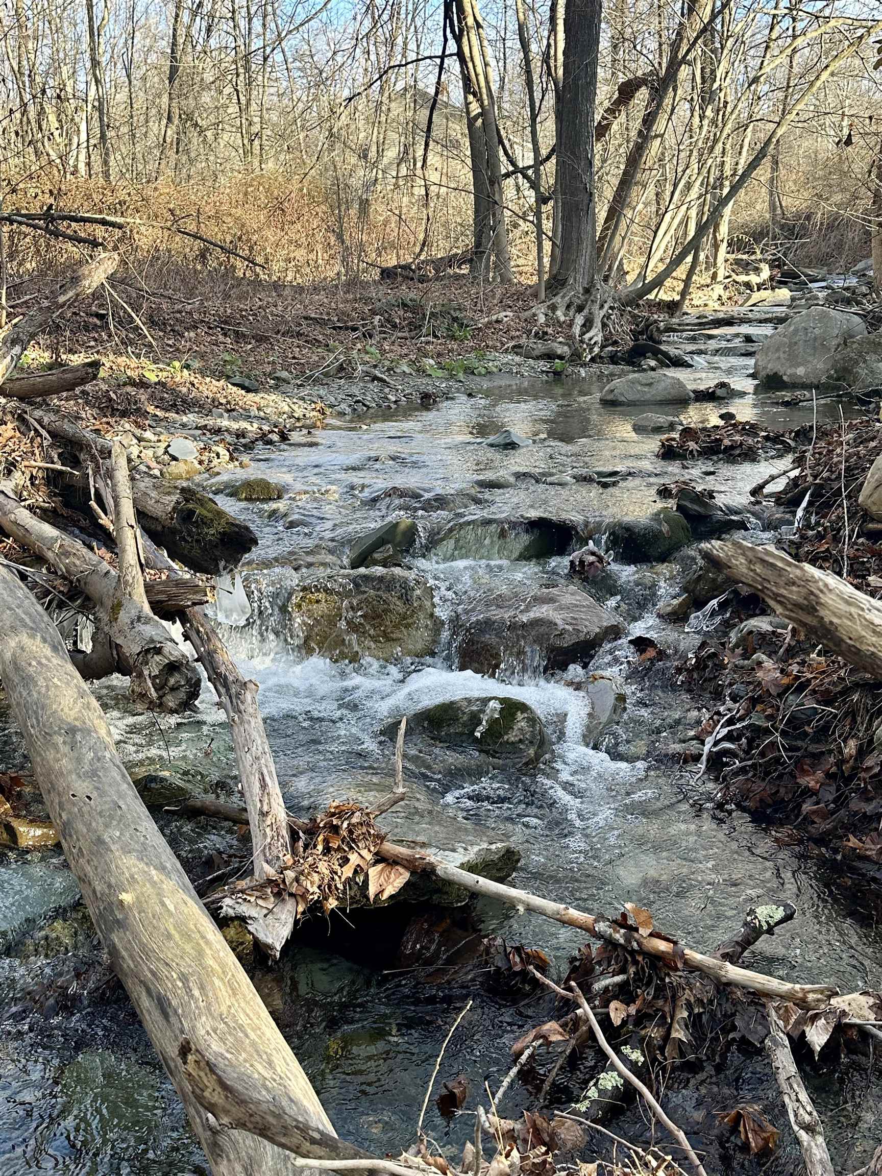 47 Waite Hill Road Pawlet, VT 05761 - Photo 3 of 54