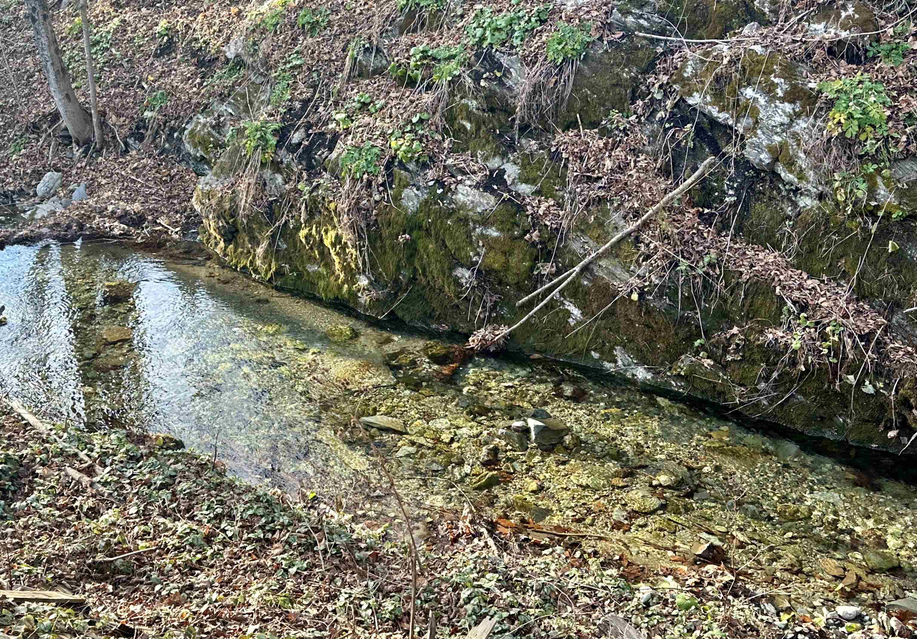 47 Waite Hill Road Pawlet, VT 05761 - Photo 10 of 54