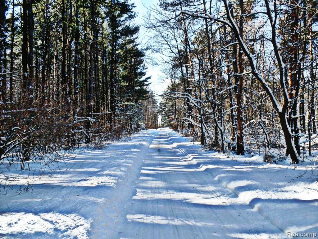 10345 South State Road Goodrich, MI 48438 - Photo 11 of 24 SAM_2249.jpg