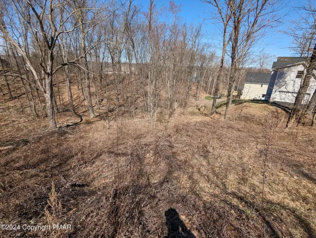 a view of outdoor space and yard