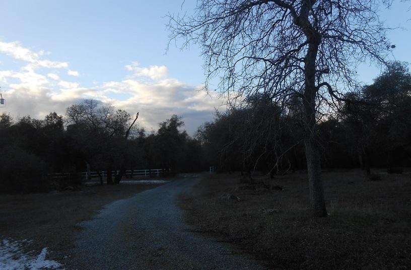 7633 Grey Ridge Road Shingletown, CA 96088 - Photo 46 of 48 DSCN3515