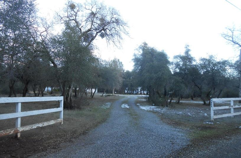 7633 Grey Ridge Road Shingletown, CA 96088 - Photo 48 of 48 DSCN3517