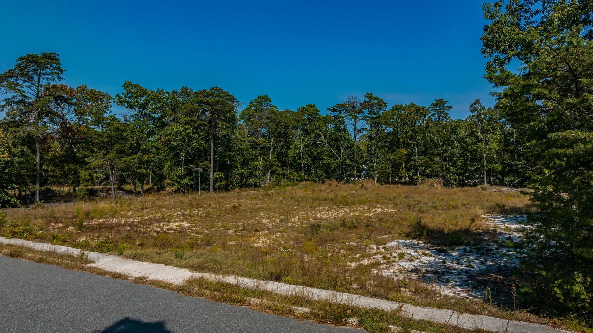 15 Clayton Ocean View, NJ 08230 - Photo 1 of 29 a view of a yard