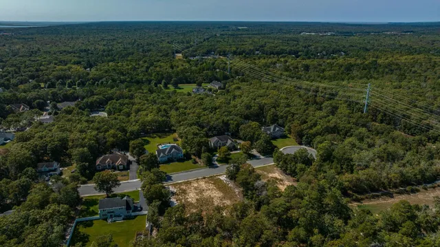 an aerial view of residential houses with outdoor space and trees