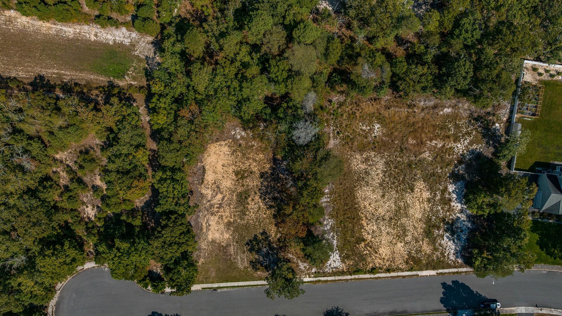 15 Clayton Ocean View, NJ 08230 - Photo 29 of 29 a view of a yard with a tree