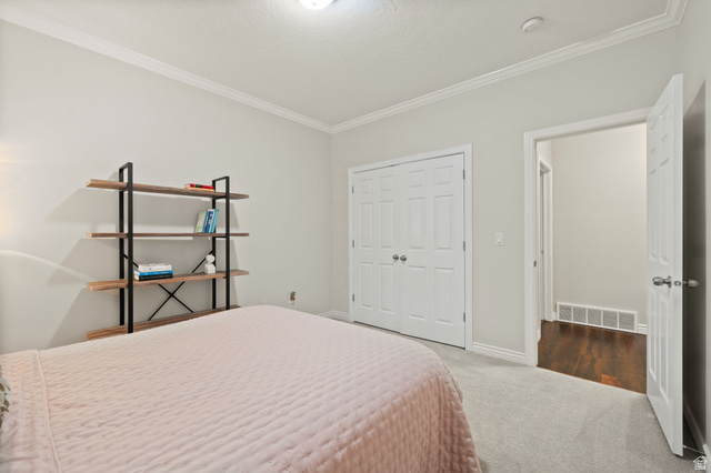 6208 West Bull River Road Highland, UT 84003 - Photo 40 of 90 Carpeted room featuring crown molding, neutral wall tones, a paneled closet door, and an open doorway leading to wood-finish flooring