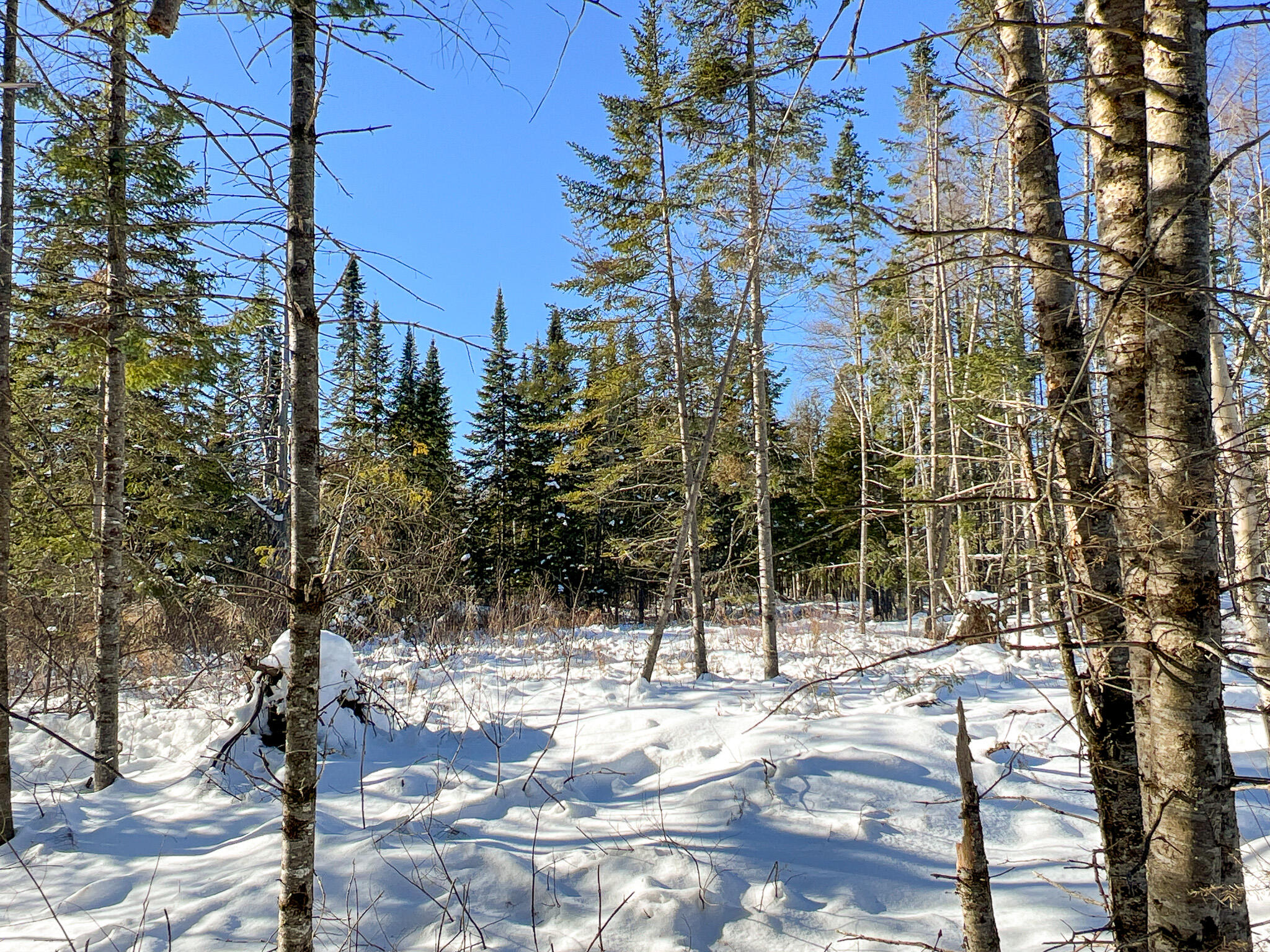 905 B Madawaska Road New Sweden, ME 04762 - Photo 13 of 21 Photo Jan 25 2024, 8 22 52 AM (11)