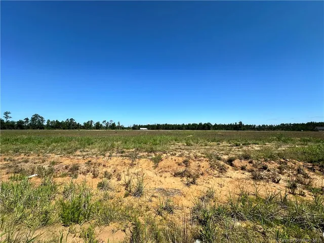 $48,500 | 0 Daffodil Drive, Ragley, LA 70657