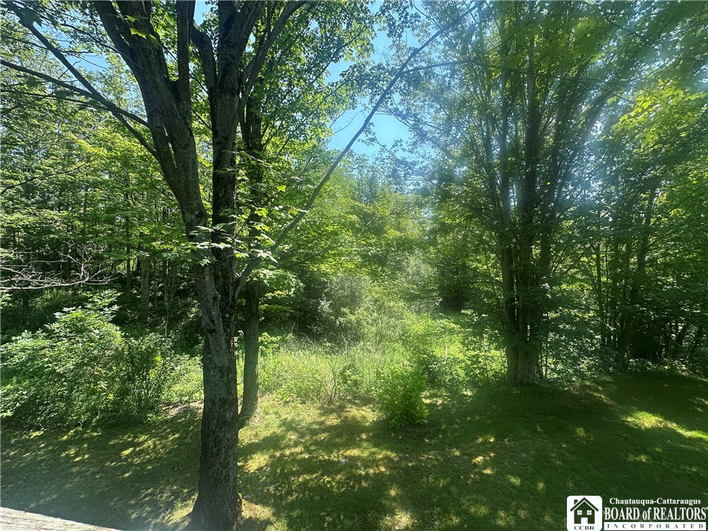 13170 Transit Line Road Concord, NY 14141 - Photo 30 of 33