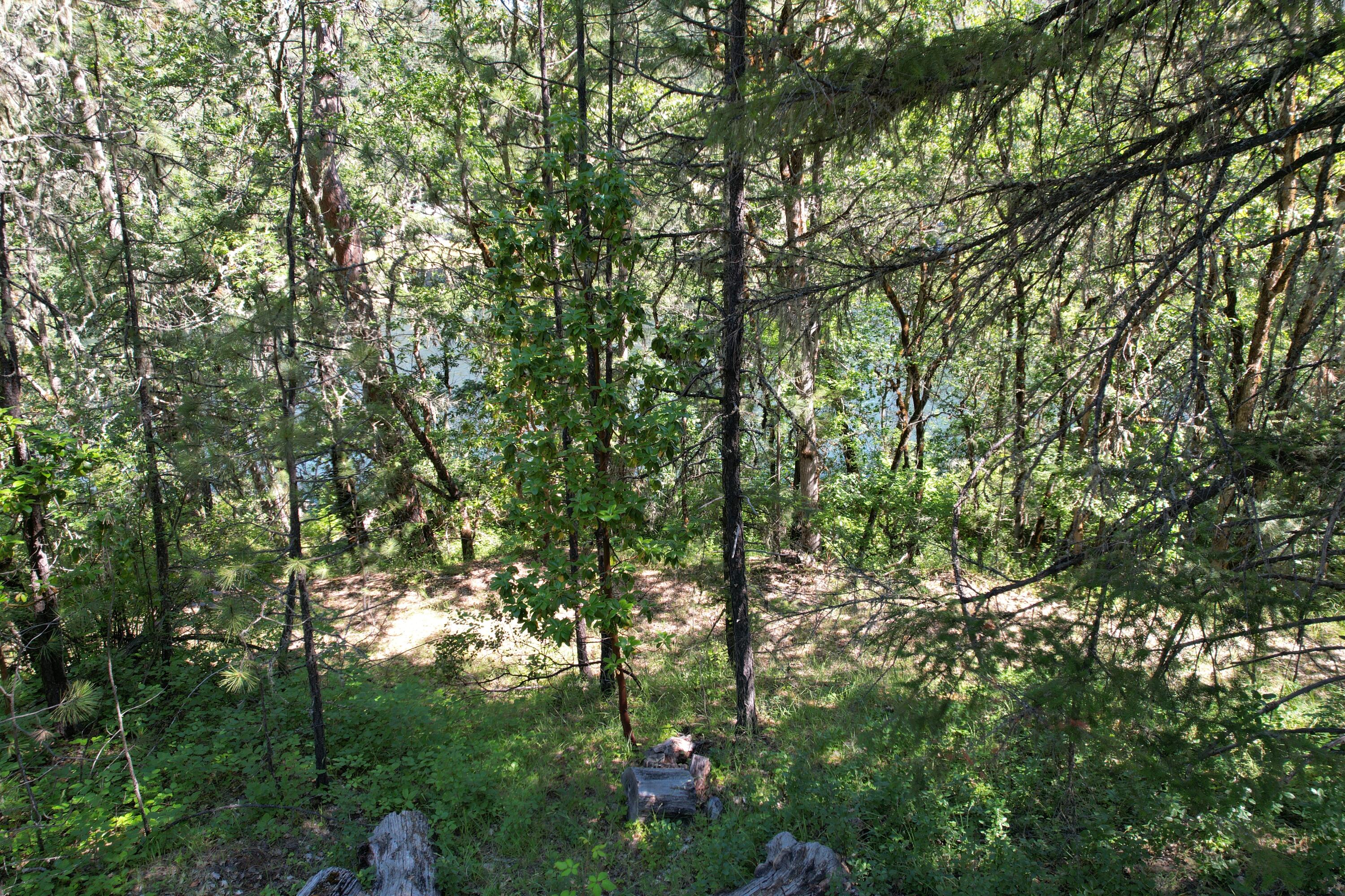 Old Ferry Road Shady Cove, OR 97539 - Photo 20 of 33 OLD FERRY (21)