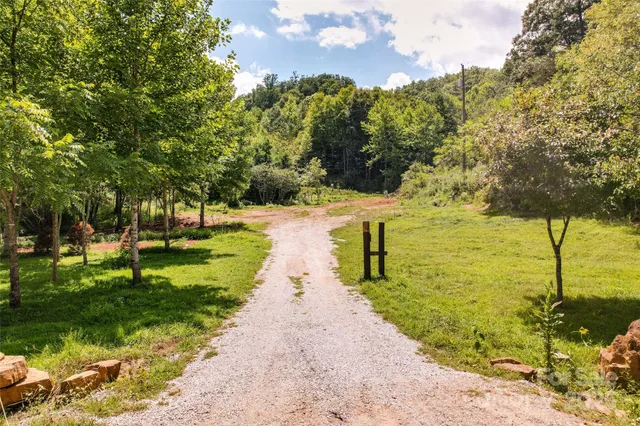 a view of a pathway both side of grassy field with trees