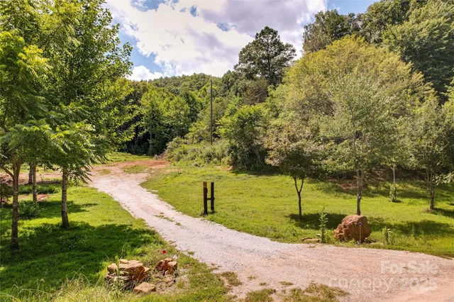 a view of yard with tree