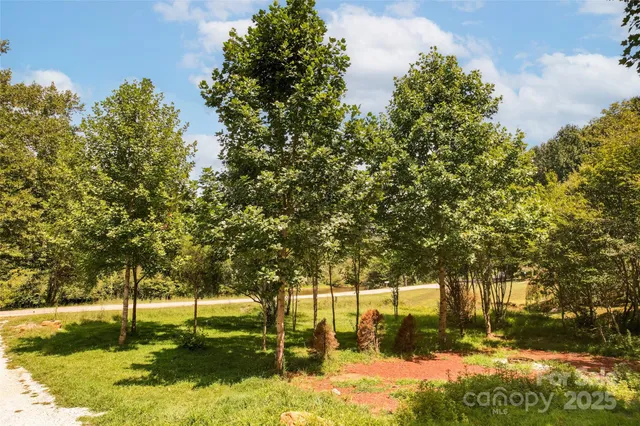 a view of swimming pool with a yard