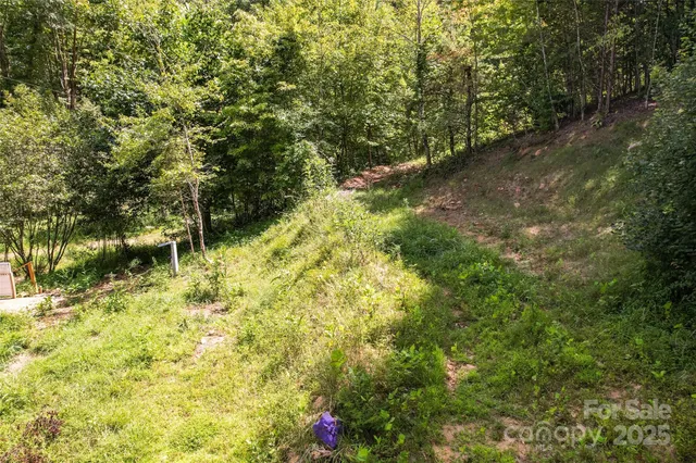 a view of outdoor space with trees all around