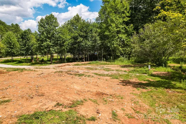 a view of a yard with a tree