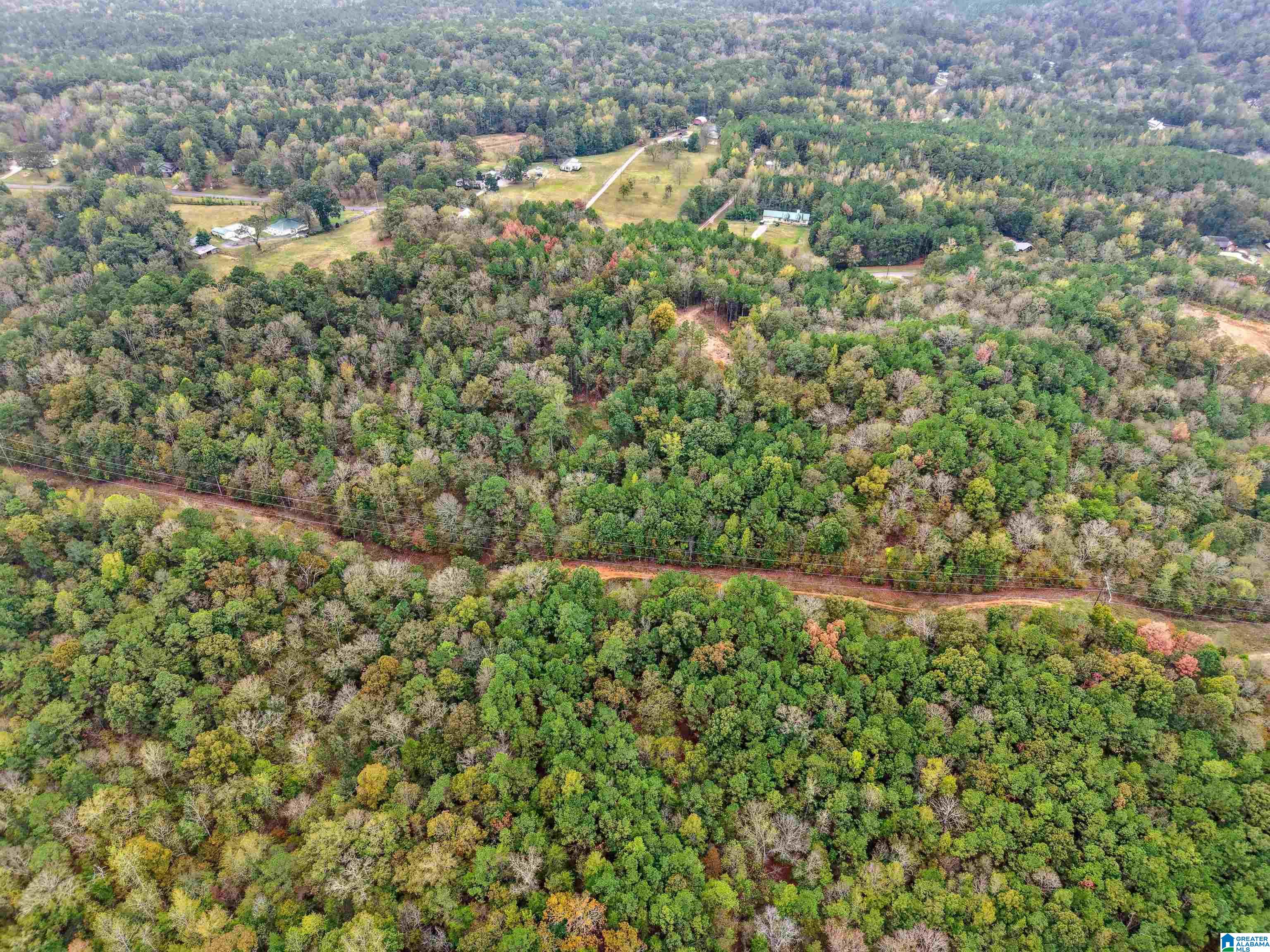 1215 Buddy Vines Camp Road Bessemer, AL 35023 - Photo 17 of 25